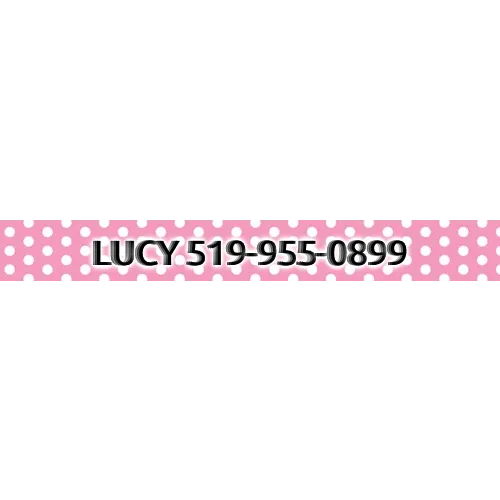 Personalized New Pink Polka Dot Dog Collar