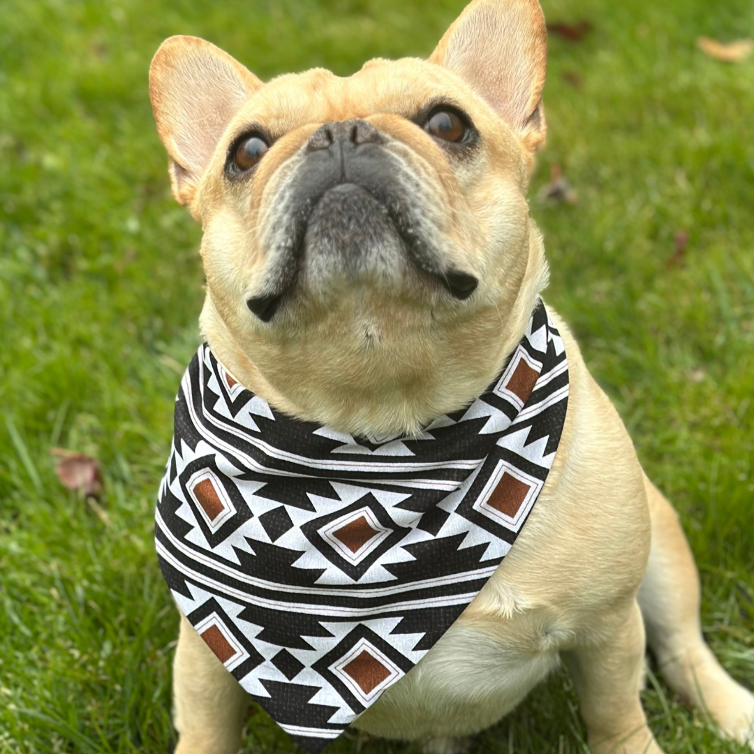 Southwest Dog Bandana