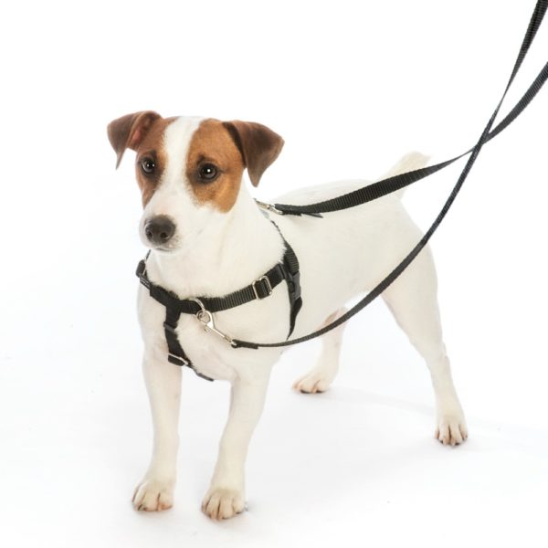 Adopt Me Freedom No-Pull Dog Harness – EarthStyle
