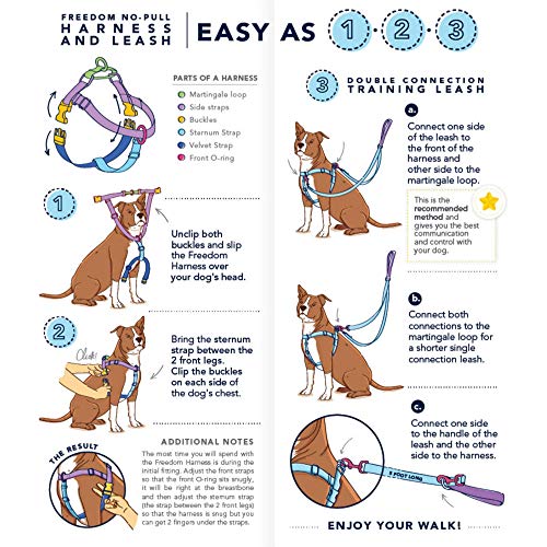 Adopt Me Freedom No-Pull Dog Harness – EarthStyle