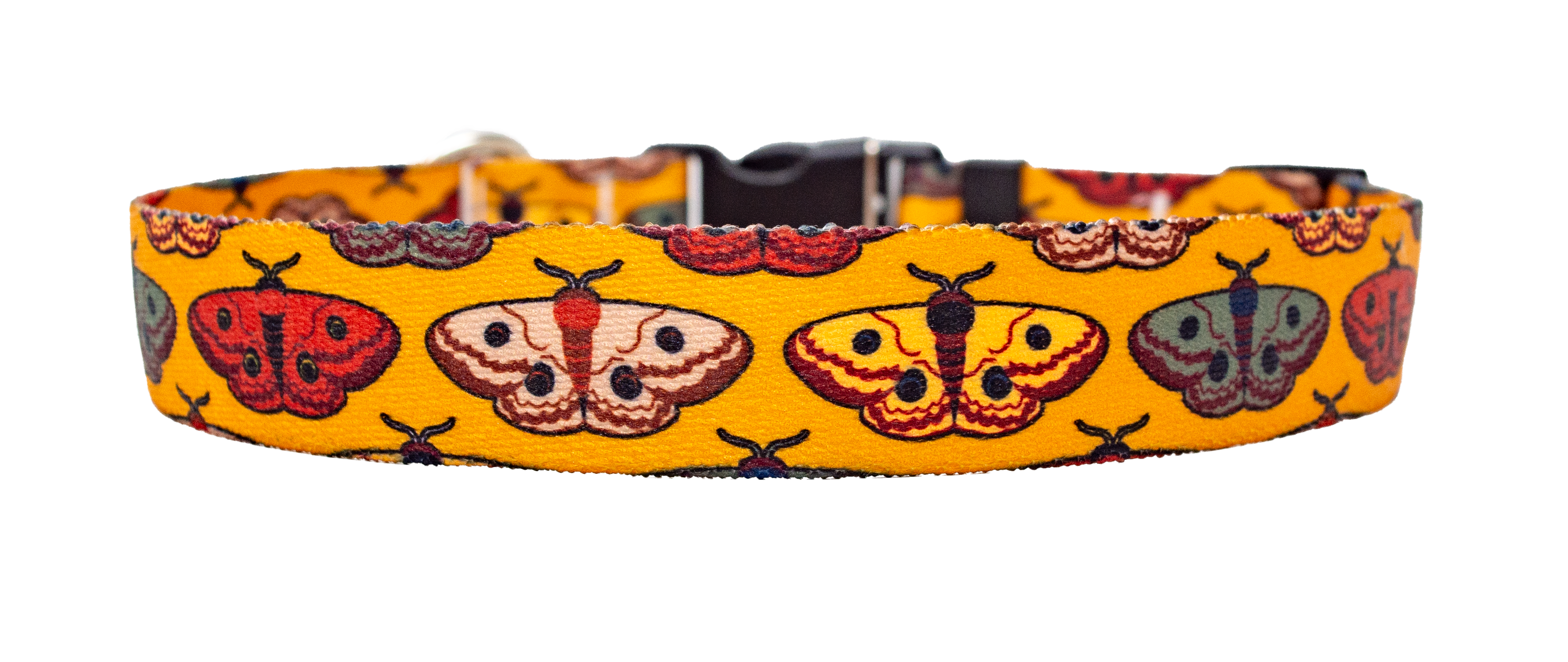 Wings for Fall Dog Collar