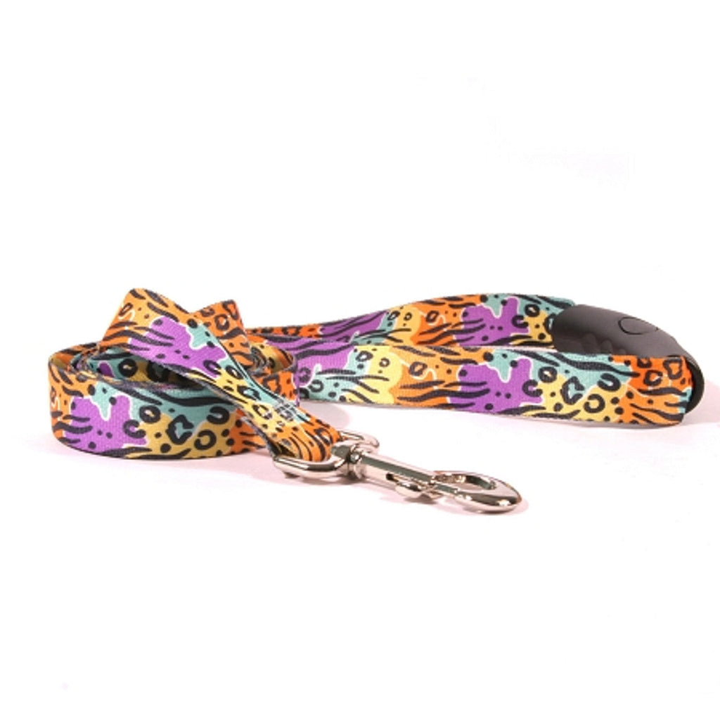Rainbow Safari Dog Leash